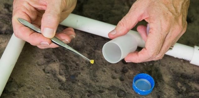 土壤中的塑料對糧食安全、健康和環境（jìng）構成威脅