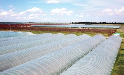 大慶石化高檔寬幅棚膜專用（yòng）樹脂新產（chǎn）品成為提質增效新亮（liàng）點