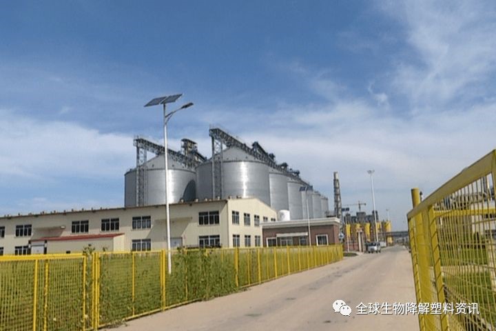 中國丙交酯生產技術破（pò）冰，但與國際先進水平仍有較大差距