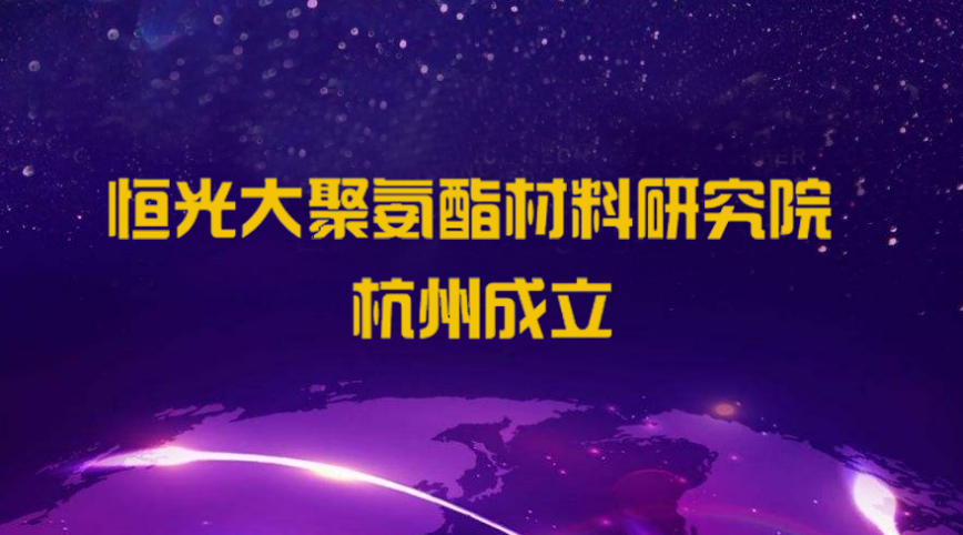 恒光大（dà）聚（jù）氨酯（zhǐ）材料研究院（yuàn）杭州（zhōu）成立