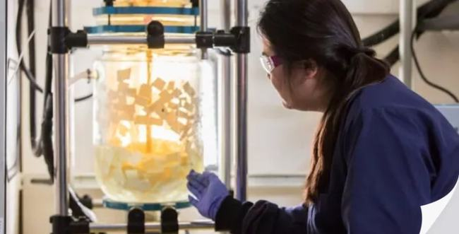 美國Novoloop公司宣（xuān）布最新廢塑料化學回收（shōu）計（jì）劃