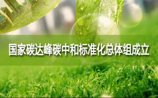 國家碳達（dá）峰碳中和標準化總體組成立（lì）