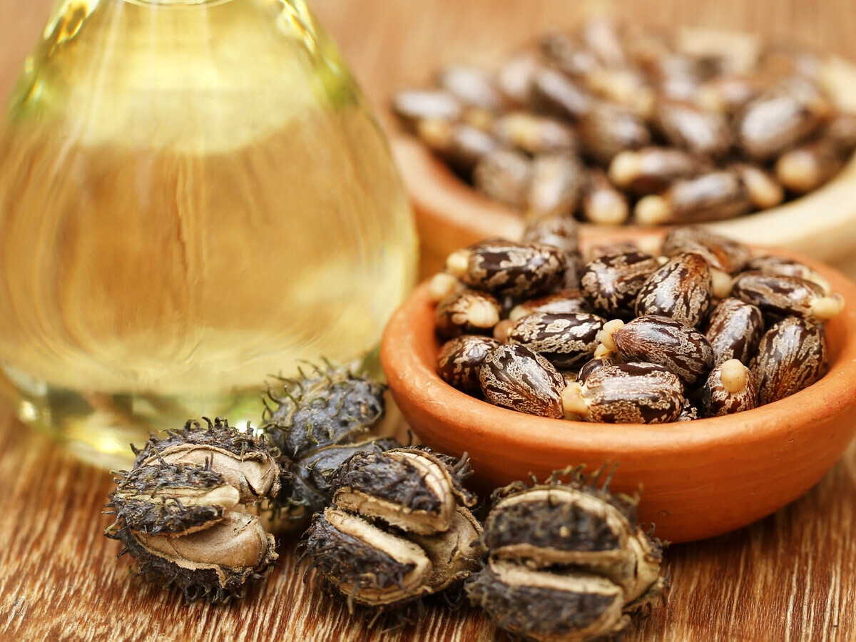 阿（ā）科瑪的先進生物基材料（liào）獲得認（rèn）證