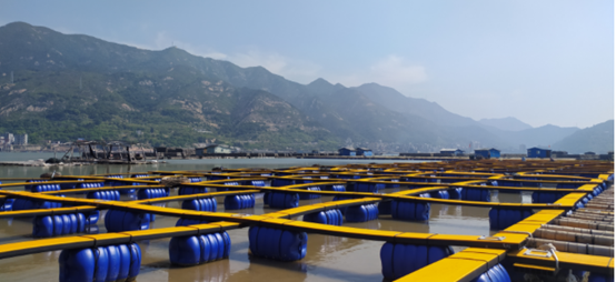 巴斯夫光穩（wěn）定劑為中（zhōng）國水產養殖打造經久耐用的漁（yú）排