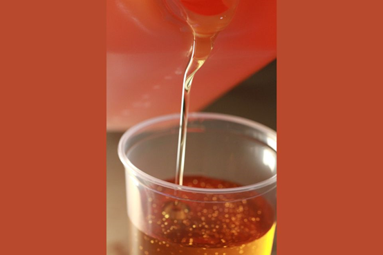 Will & Co.與Checkerspot合作，將新型生物基材料和藻類聚氨酯（zhǐ）材料組合帶給歐洲產品創