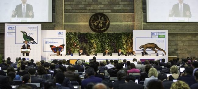 聯合國環境大會：建立首個應對塑料汙（wū）染的全球條約