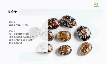 特（tè）種高溫尼龍市場需求持續攀升，細分賽道國（guó）產替代逐步推進